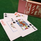 Bird Poker Cards